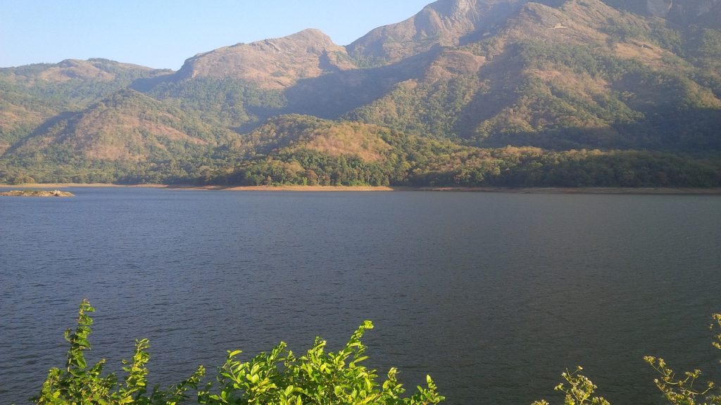 kerala, green, nature, btwoholidays.in -3628808.jpg